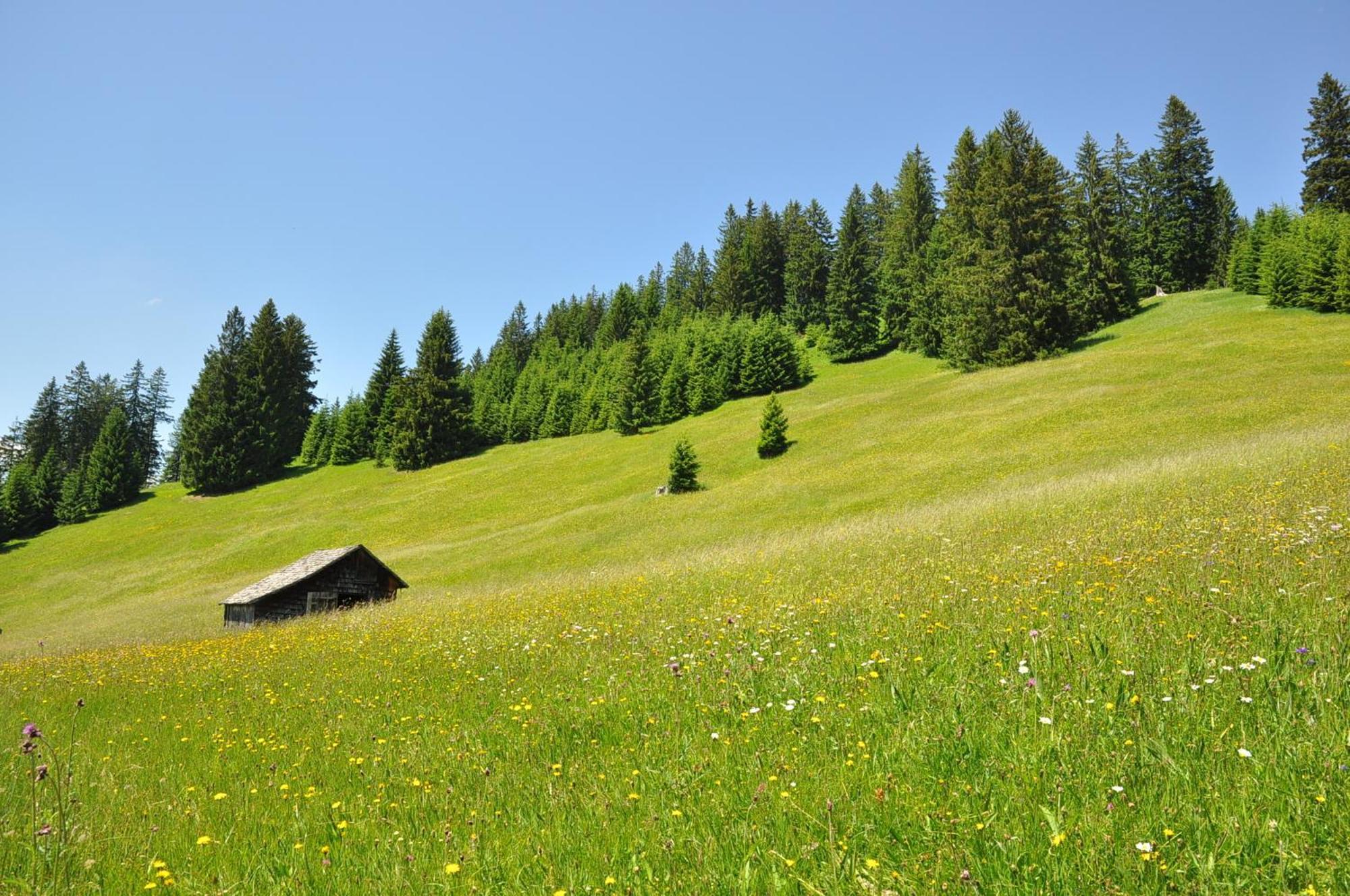Landhaus Alpensonne シャットヴァルト エクステリア 写真